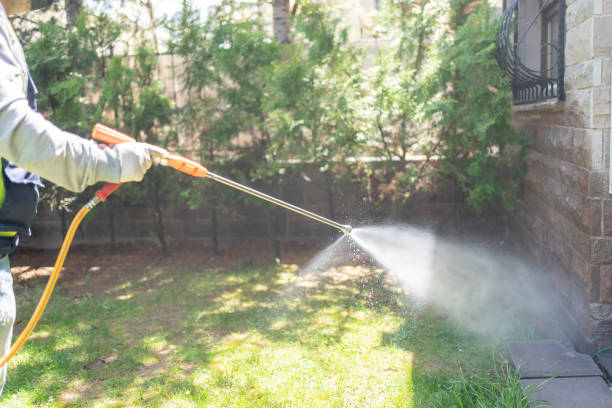 Best Lawn Pest Control  in Collinsvle, IL